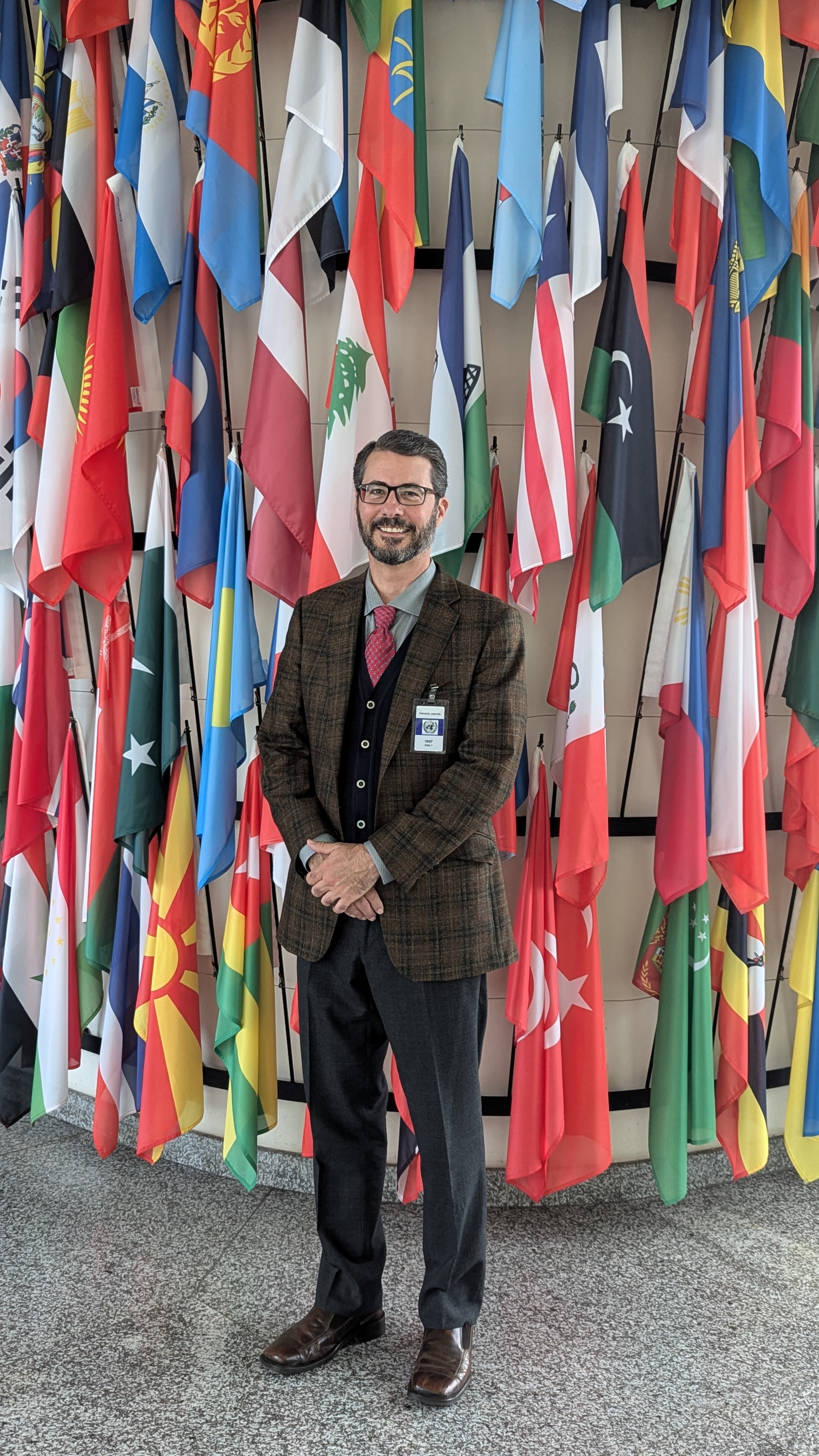 vienna_un_flags_full.jpg